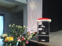 Dívka roku 2011 Plzeň Korunky pro slečny krásy od www.ZLATNICTVI.net