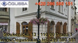 Egussa Praha 296 580 151