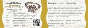 certifikat-20161223-z-MARCELA-Dia-3prstynek